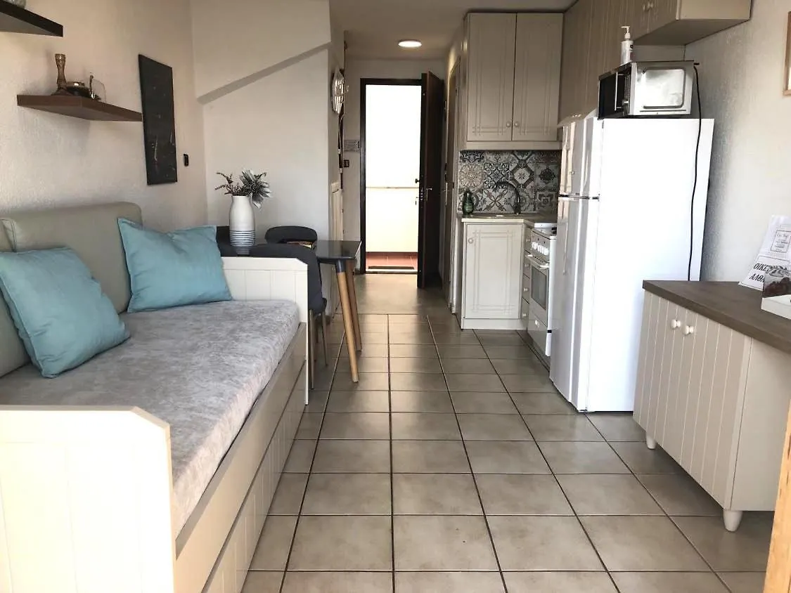 Seafront Family Apartment Thetis Fourka Holiday home